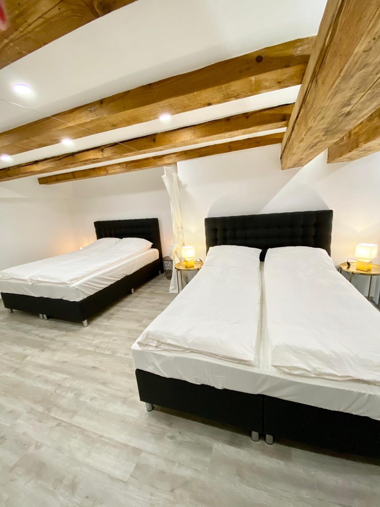 Jungle Loft - Central/Free Parking Liubliana Exterior foto